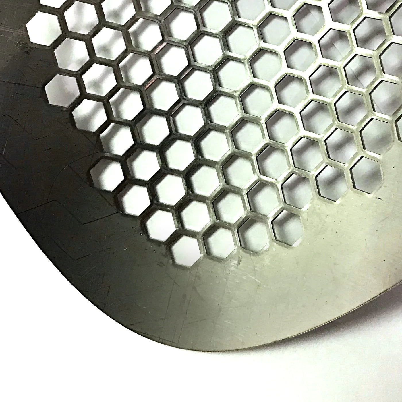T-Rex 6.5" Stainless Steel with 3/8" Honey Comb Holes by Detecting Adventure